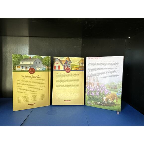 3 book lot!! Including Where Hope Dwells by Elizabeth Ludwig (2023, Hardcover) - Picture 4 of 12